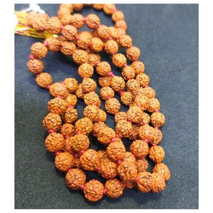 5 muchi rudrasha mala (2)