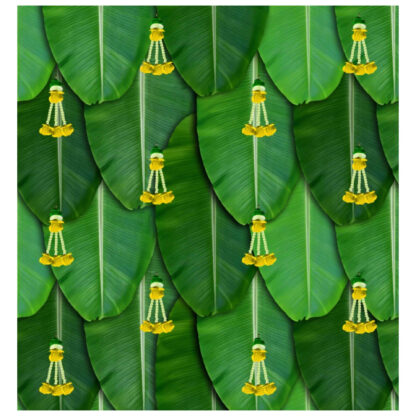 Big Banana Leaf Backdrops